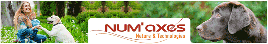 Numaxes